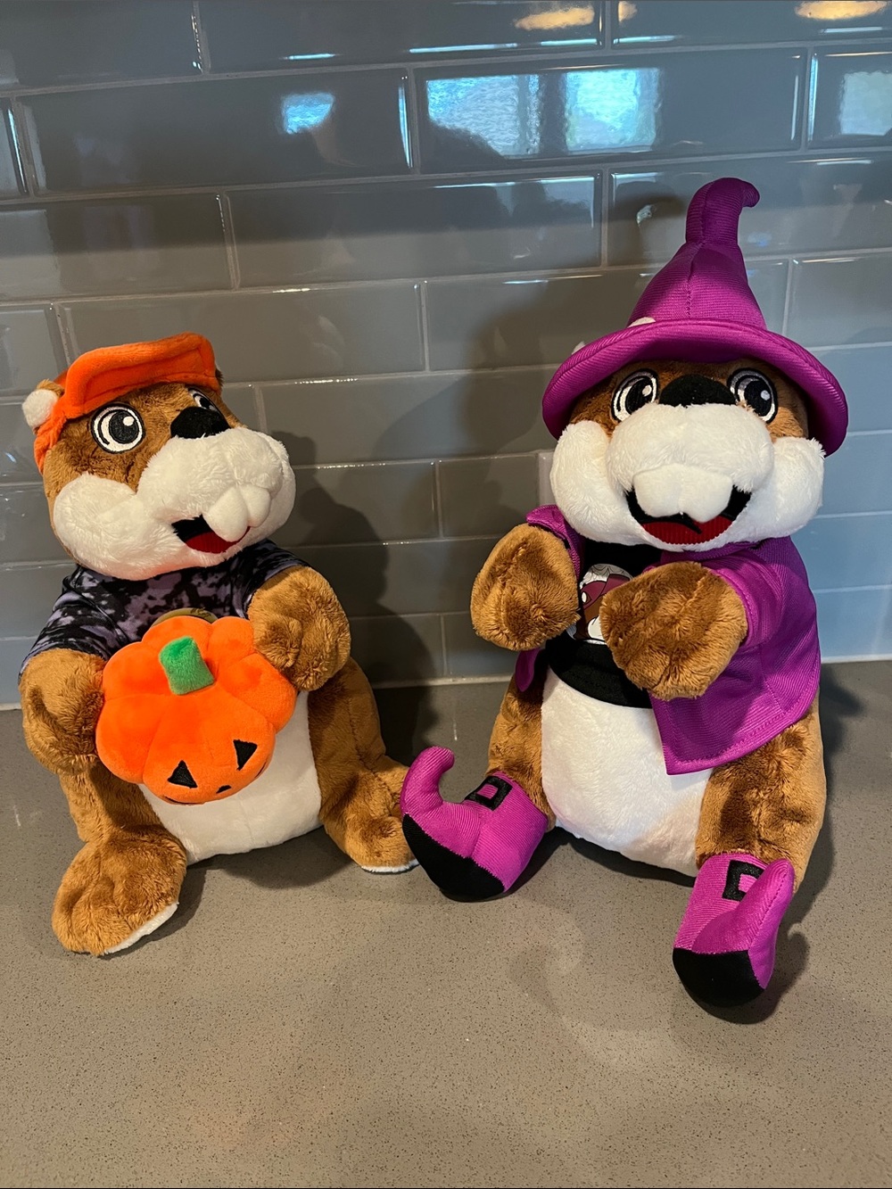 Halloween Themed Buc-ee’s Plush Beavers